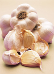 Cesnak